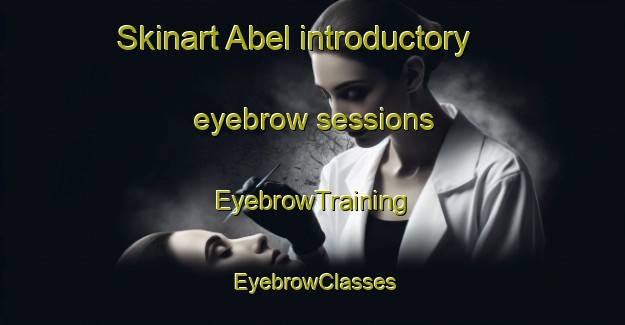 Skinart Abel introductory eyebrow sessions | EyebrowTraining | EyebrowClasses | SkinartTraining-Brazil