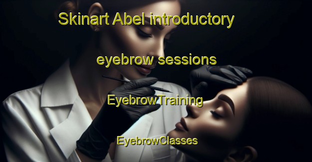 Skinart Abel introductory eyebrow sessions | EyebrowTraining | EyebrowClasses | SkinartTraining-Brazil