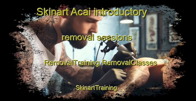 Skinart Acai introductory removal sessions | #RemovalTraining #RemovalClasses #SkinartTraining-Brazil