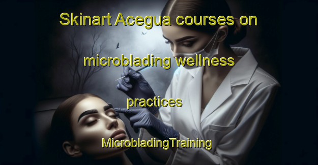 Skinart Acegua courses on microblading wellness practices | #MicrobladingTraining #MicrobladingClasses #SkinartTraining-Brazil