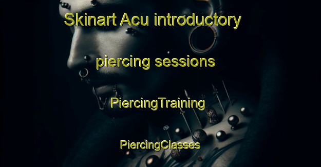 Skinart Acu introductory piercing sessions | #PiercingTraining #PiercingClasses #SkinartTraining-Brazil