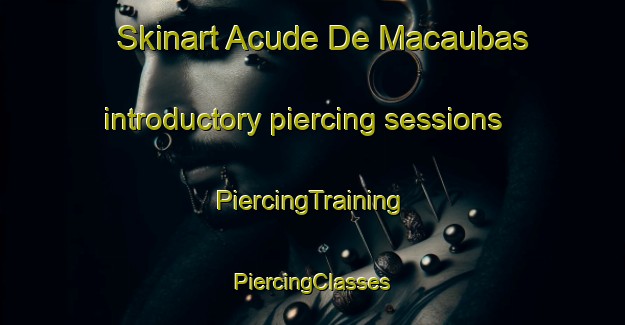 Skinart Acude De Macaubas introductory piercing sessions | #PiercingTraining #PiercingClasses #SkinartTraining-Brazil