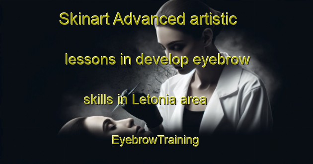 Skinart Advanced artistic lessons in develop eyebrow skills in Letonia area | EyebrowTraining | EyebrowClasses | SkinartTraining-Brazil
