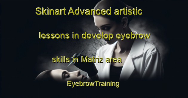 Skinart Advanced artistic lessons in develop eyebrow skills in Matriz area | EyebrowTraining | EyebrowClasses | SkinartTraining-Brazil
