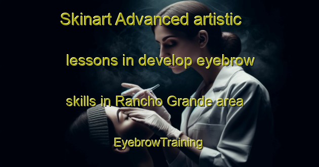 Skinart Advanced artistic lessons in develop eyebrow skills in Rancho Grande area | EyebrowTraining | EyebrowClasses | SkinartTraining-Brazil
