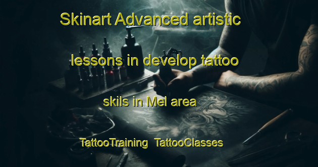 Skinart Advanced artistic lessons in develop tattoo skils in Mel area | TattooTraining | TattooClasses | SkinartTraining-Brazil