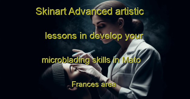 Skinart Advanced artistic lessons in develop your microblading skills in Mato Frances area | MicrobladingTraining | MicrobladingClasses | SkinartTraining-Brazil