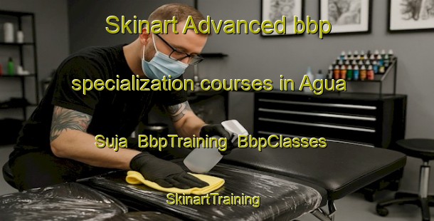 Skinart Advanced bbp specialization courses in Agua Suja | BbpTraining | BbpClasses | SkinartTraining-Brazil
