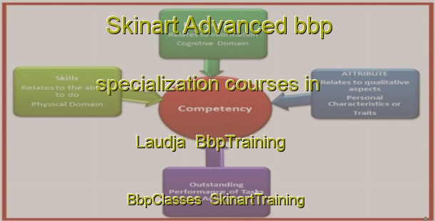 Skinart Advanced bbp specialization courses in Laudja | BbpTraining | BbpClasses | SkinartTraining-Brazil
