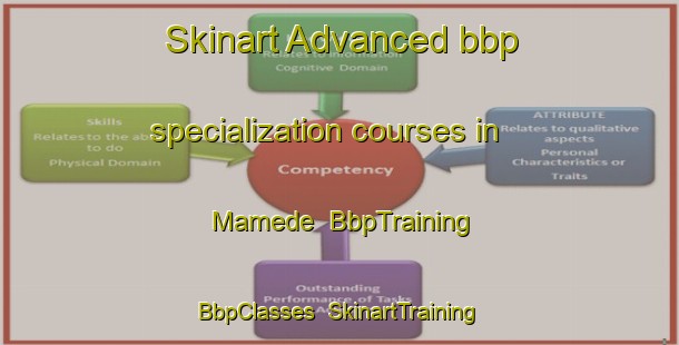 Skinart Advanced bbp specialization courses in Mamede | BbpTraining | BbpClasses | SkinartTraining-Brazil