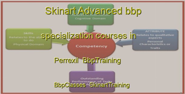 Skinart Advanced bbp specialization courses in Perrexil | BbpTraining | BbpClasses | SkinartTraining-Brazil