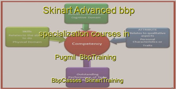 Skinart Advanced bbp specialization courses in Pugmil | BbpTraining | BbpClasses | SkinartTraining-Brazil