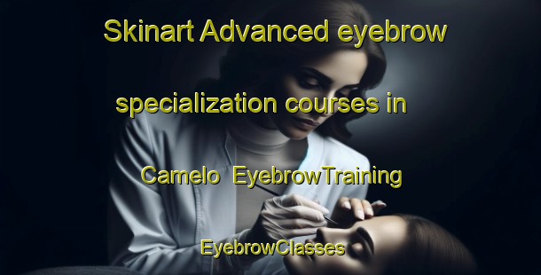 Skinart Advanced eyebrow specialization courses in Camelo | EyebrowTraining | EyebrowClasses | SkinartTraining-Brazil