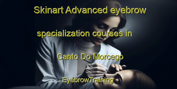Skinart Advanced eyebrow specialization courses in Canto Do Morcego | EyebrowTraining | EyebrowClasses | SkinartTraining-Brazil