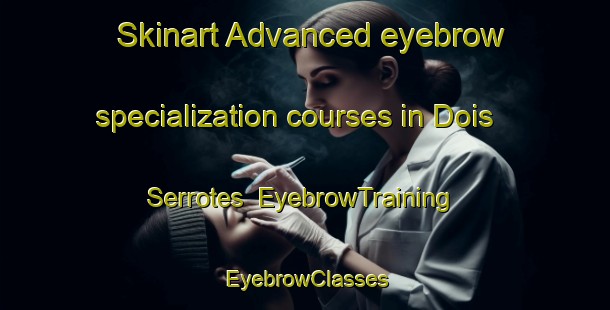 Skinart Advanced eyebrow specialization courses in Dois Serrotes | EyebrowTraining | EyebrowClasses | SkinartTraining-Brazil