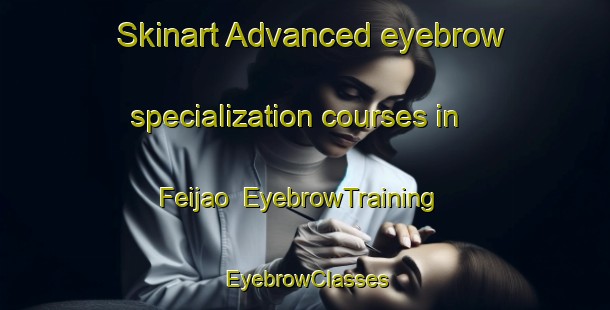 Skinart Advanced eyebrow specialization courses in Feijao | EyebrowTraining | EyebrowClasses | SkinartTraining-Brazil