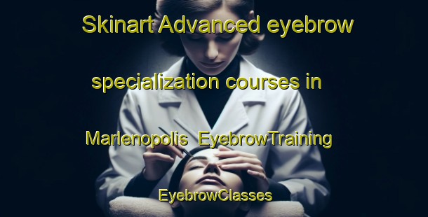 Skinart Advanced eyebrow specialization courses in Marlenopolis | EyebrowTraining | EyebrowClasses | SkinartTraining-Brazil