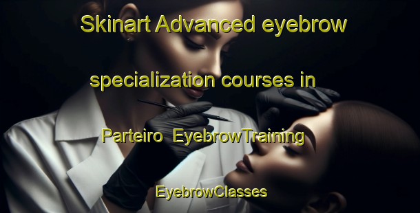 Skinart Advanced eyebrow specialization courses in Parteiro | EyebrowTraining | EyebrowClasses | SkinartTraining-Brazil