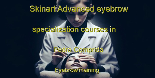 Skinart Advanced eyebrow specialization courses in Pedra Comprida | EyebrowTraining | EyebrowClasses | SkinartTraining-Brazil