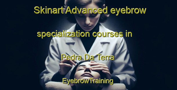 Skinart Advanced eyebrow specialization courses in Pedra Da Terra | EyebrowTraining | EyebrowClasses | SkinartTraining-Brazil