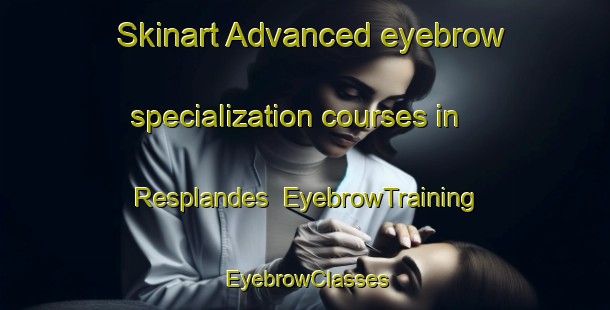 Skinart Advanced eyebrow specialization courses in Resplandes | EyebrowTraining | EyebrowClasses | SkinartTraining-Brazil