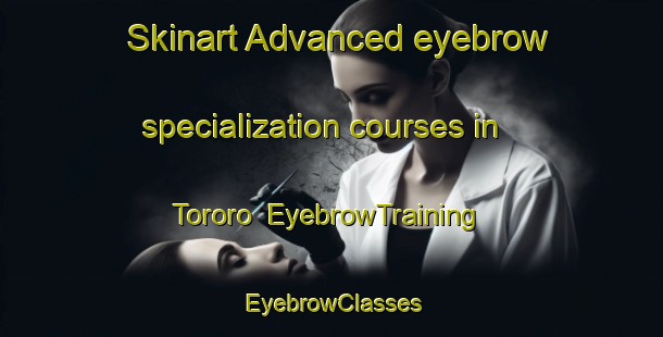 Skinart Advanced eyebrow specialization courses in Tororo | EyebrowTraining | EyebrowClasses | SkinartTraining-Brazil