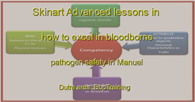 Skinart Advanced lessons in how to excel in bloodborne pathogen safety in Manuel Dutra area | BbpTraining | BbpClasses | SkinartTraining-Brazil