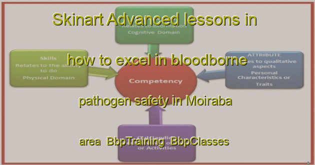 Skinart Advanced lessons in how to excel in bloodborne pathogen safety in Moiraba area | BbpTraining | BbpClasses | SkinartTraining-Brazil