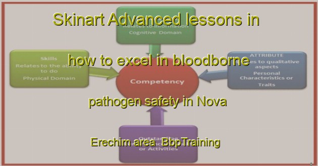 Skinart Advanced lessons in how to excel in bloodborne pathogen safety in Nova Erechim area | BbpTraining | BbpClasses | SkinartTraining-Brazil