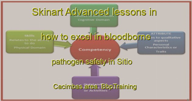 Skinart Advanced lessons in how to excel in bloodborne pathogen safety in Sitio Cacimbas area | BbpTraining | BbpClasses | SkinartTraining-Brazil