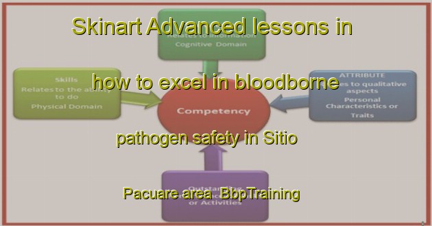 Skinart Advanced lessons in how to excel in bloodborne pathogen safety in Sitio Pacuare area | BbpTraining | BbpClasses | SkinartTraining-Brazil