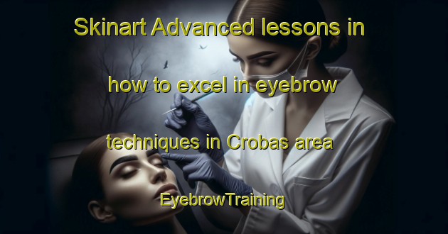 Skinart Advanced lessons in how to excel in eyebrow techniques in Crobas area | EyebrowTraining | EyebrowClasses | SkinartTraining-Brazil