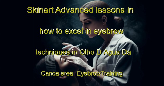 Skinart Advanced lessons in how to excel in eyebrow techniques in Olho D Agua Da Canoa area | EyebrowTraining | EyebrowClasses | SkinartTraining-Brazil