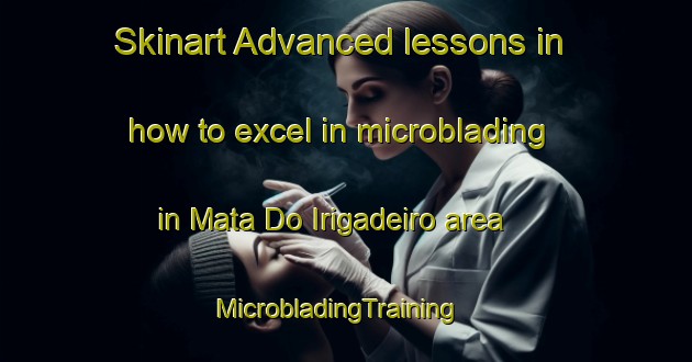 Skinart Advanced lessons in how to excel in microblading in Mata Do Irigadeiro area | MicrobladingTraining | MicrobladingClasses | SkinartTraining-Brazil
