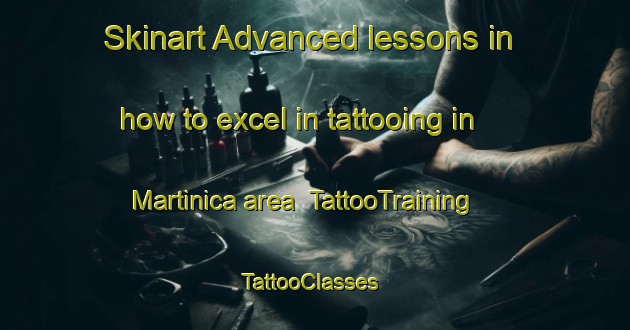 Skinart Advanced lessons in how to excel in tattooing in Martinica area | TattooTraining | TattooClasses | SkinartTraining-Brazil