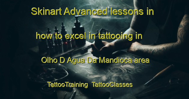 Skinart Advanced lessons in how to excel in tattooing in Olho D Agua Da Mandioca area | TattooTraining | TattooClasses | SkinartTraining-Brazil