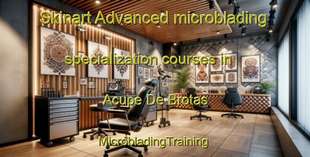 Skinart Advanced microblading specialization courses in Acupe De Brotas | #MicrobladingTraining #MicrobladingClasses #SkinartTraining-Brazil