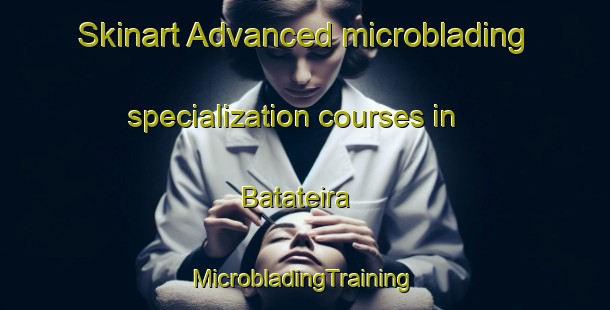 Skinart Advanced microblading specialization courses in Batateira | #MicrobladingTraining #MicrobladingClasses #SkinartTraining-Brazil