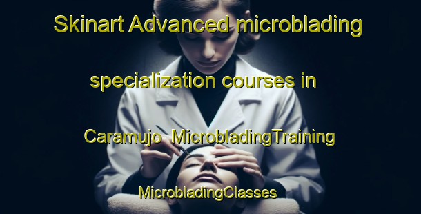 Skinart Advanced microblading specialization courses in Caramujo | MicrobladingTraining | MicrobladingClasses | SkinartTraining-Brazil