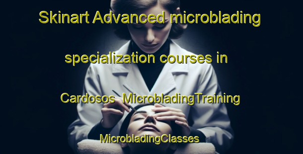 Skinart Advanced microblading specialization courses in Cardosos | MicrobladingTraining | MicrobladingClasses | SkinartTraining-Brazil