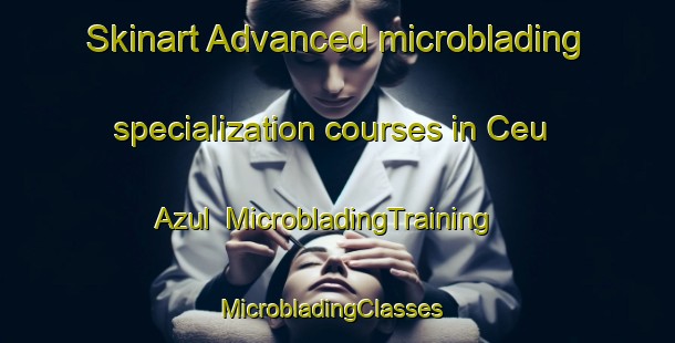 Skinart Advanced microblading specialization courses in Ceu Azul | MicrobladingTraining | MicrobladingClasses | SkinartTraining-Brazil