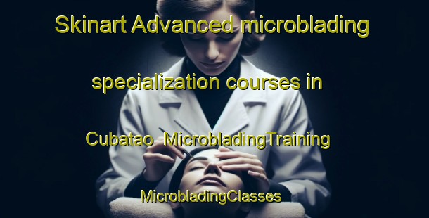 Skinart Advanced microblading specialization courses in Cubatao | MicrobladingTraining | MicrobladingClasses | SkinartTraining-Brazil