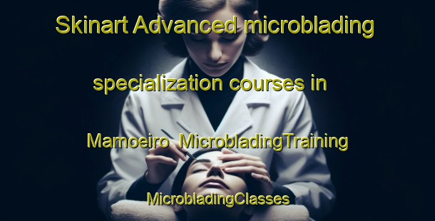 Skinart Advanced microblading specialization courses in Mamoeiro | #MicrobladingTraining #MicrobladingClasses #SkinartTraining-Brazil