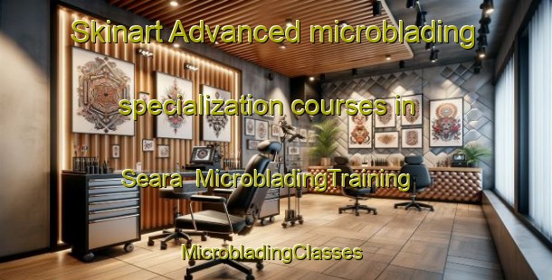 Skinart Advanced microblading specialization courses in Seara | MicrobladingTraining | MicrobladingClasses | SkinartTraining-Brazil
