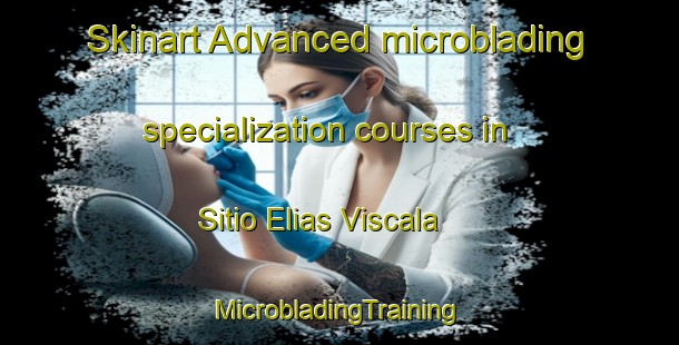 Skinart Advanced microblading specialization courses in Sitio Elias Viscala | #MicrobladingTraining #MicrobladingClasses #SkinartTraining-Brazil