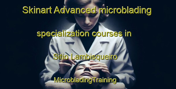 Skinart Advanced microblading specialization courses in Sitio Lambisqueiro | MicrobladingTraining | MicrobladingClasses | SkinartTraining-Brazil
