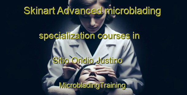 Skinart Advanced microblading specialization courses in Sitio Oridio Justino | #MicrobladingTraining #MicrobladingClasses #SkinartTraining-Brazil