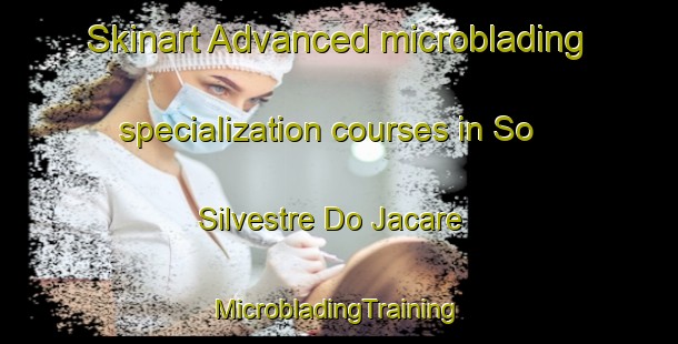 Skinart Advanced microblading specialization courses in So Silvestre Do Jacare | #MicrobladingTraining #MicrobladingClasses #SkinartTraining-Brazil