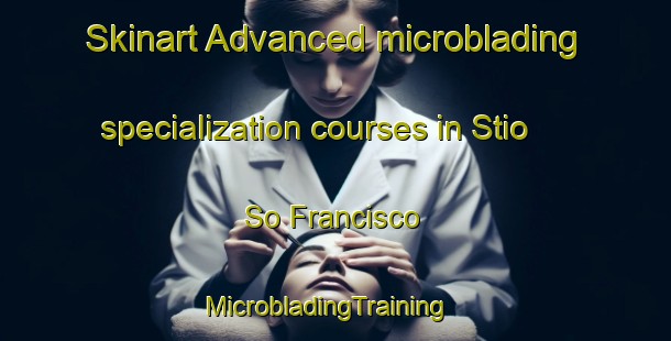 Skinart Advanced microblading specialization courses in Stio So Francisco | MicrobladingTraining | MicrobladingClasses | SkinartTraining-Brazil