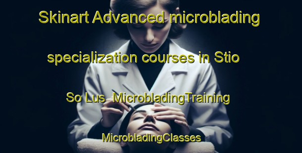 Skinart Advanced microblading specialization courses in Stio So Lus | #MicrobladingTraining #MicrobladingClasses #SkinartTraining-Brazil